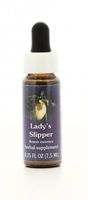 Lady