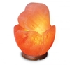 Lampada di Sale Coppa con Cuore