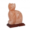Lampada di Sale Rosa - Gatto