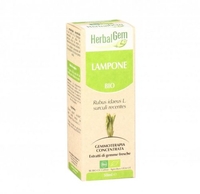 Lampone Bio - Gemmoderivato per Ciclo Mestruale