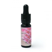 Larch - Integratore Alimentare