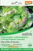 Lattuga Batavia (Canasta) "Maravilla di Verano" - es23