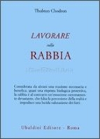 Lavorare Sulla Rabbia