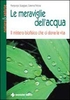 Le Meraviglie dell