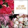 Le Mie Begonie