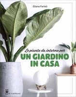 Le Piante da Interno per un Giardino in Casa