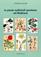 Le Piante Medicinali Spontanee nel Modenese