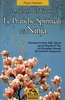 Le Pratiche Spirituali dei Ninja - I Maestri del Vuoto