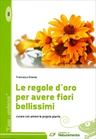 Le Regole d