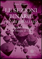 Le Sezioni Binarie del VII Parallelo