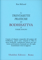 Le Trentasette Pratiche del Bodhisattva di Tokme Zongpo