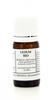 Ledum - Olio Essenziale Puro