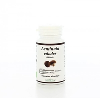 Lentinula Edodes