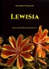 Lewisia