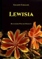 Lewisia