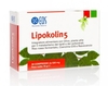 Lipokolin5 compresse