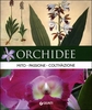 Orchidee