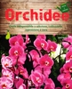 Orchidee