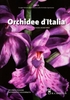 Orchidee d