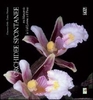 Orchidee Spontanee