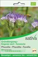 Sovescio Facelia - gr16