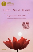 Spegni il Fuoco della Rabbia