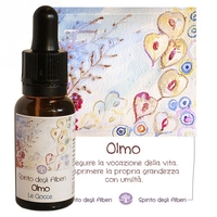 Spirito degli Alberi - Olmo - Gocce