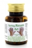 Spring Reum Art - Monelli Ezio