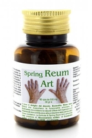 Spring Reum Art - Monelli Ezio