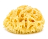 Spugna Naturale Mediterranea per Bambini
