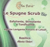 Spugna Scrub Bio - Basilico
