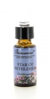 Star of Bethlehem - Stella di Betlemme