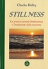 Stillness