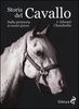Storia del Cavallo