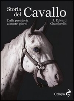 Storia del Cavallo