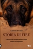 Storia di Fire