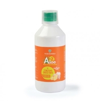 Succo Aloe e Zenzero