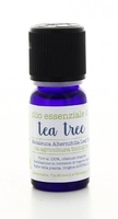 Tea Tree Olio Essenziale