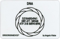 Tessera Radionica - DNA