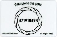 Tessera Radionica - Guarigione del Gatto