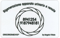 Tessera Radionica - Rigenerazione Apparato Urinario e Renale