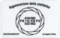 Tessera Radionica - Rigenerazione della Cistifellea
