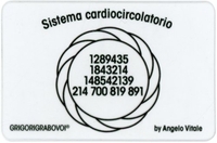 Tessera Radionica - Sistema Cardiocircolatorio