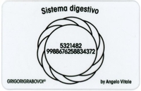 Tessera Radionica - Sistema Digestivo