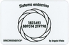 Tessera Radionica - Sistema Endocrino