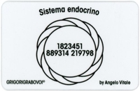 Tessera Radionica - Sistema Endocrino