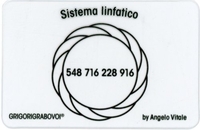 Tessera Radionica - Sistema Linfatico
