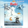 The Spirit of Reiki