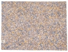 Tovaglietta in Cotone Marble - Marrone Santa Fiora