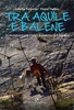 Tra Aquile e Balene